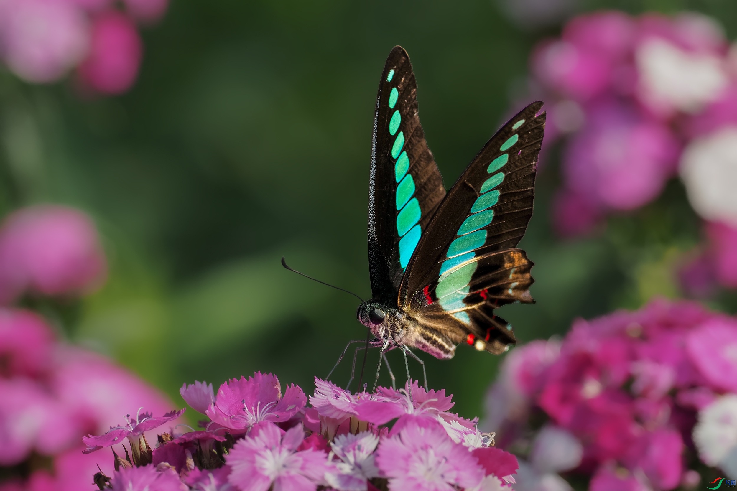 PB100613-1.jpg