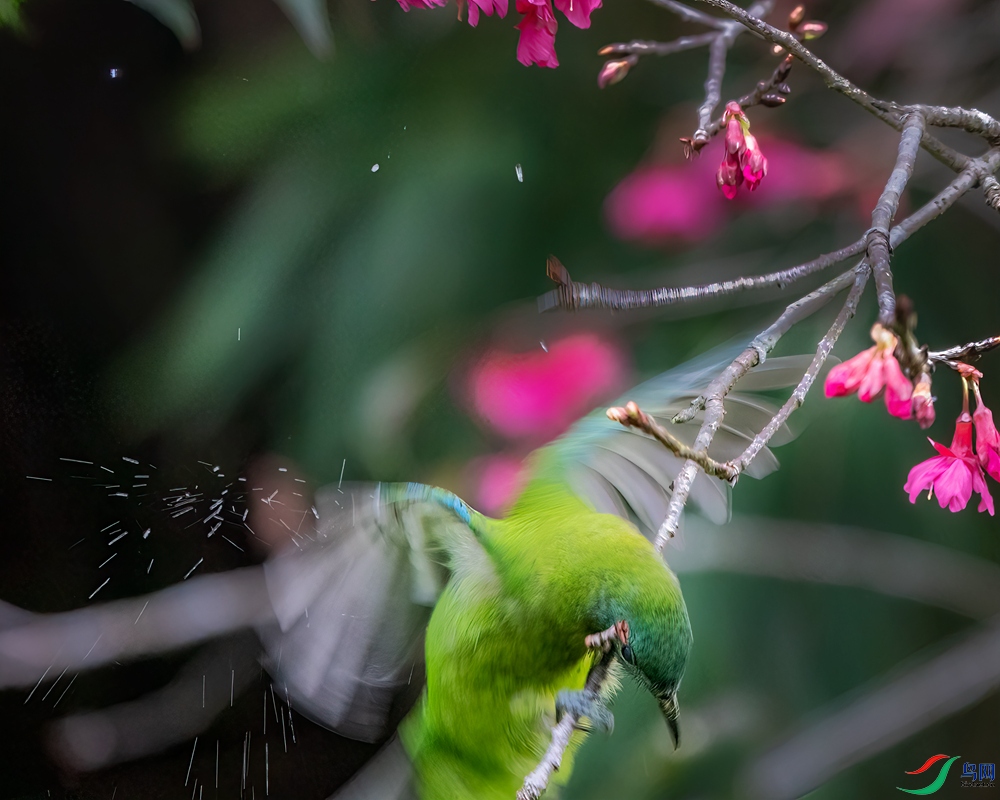 _DSC3683p.jpg
