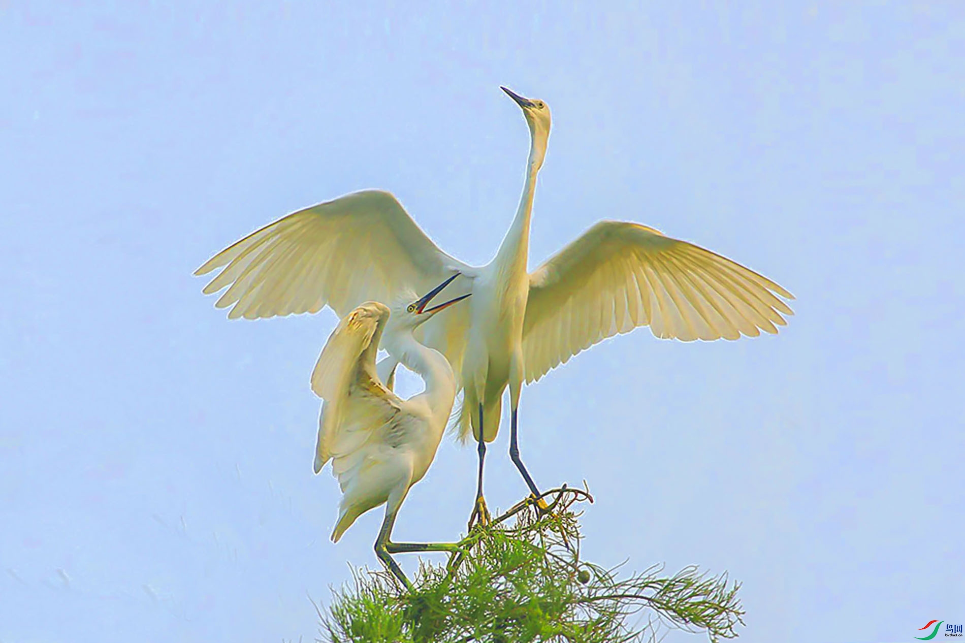 IMG_9349m2.jpg