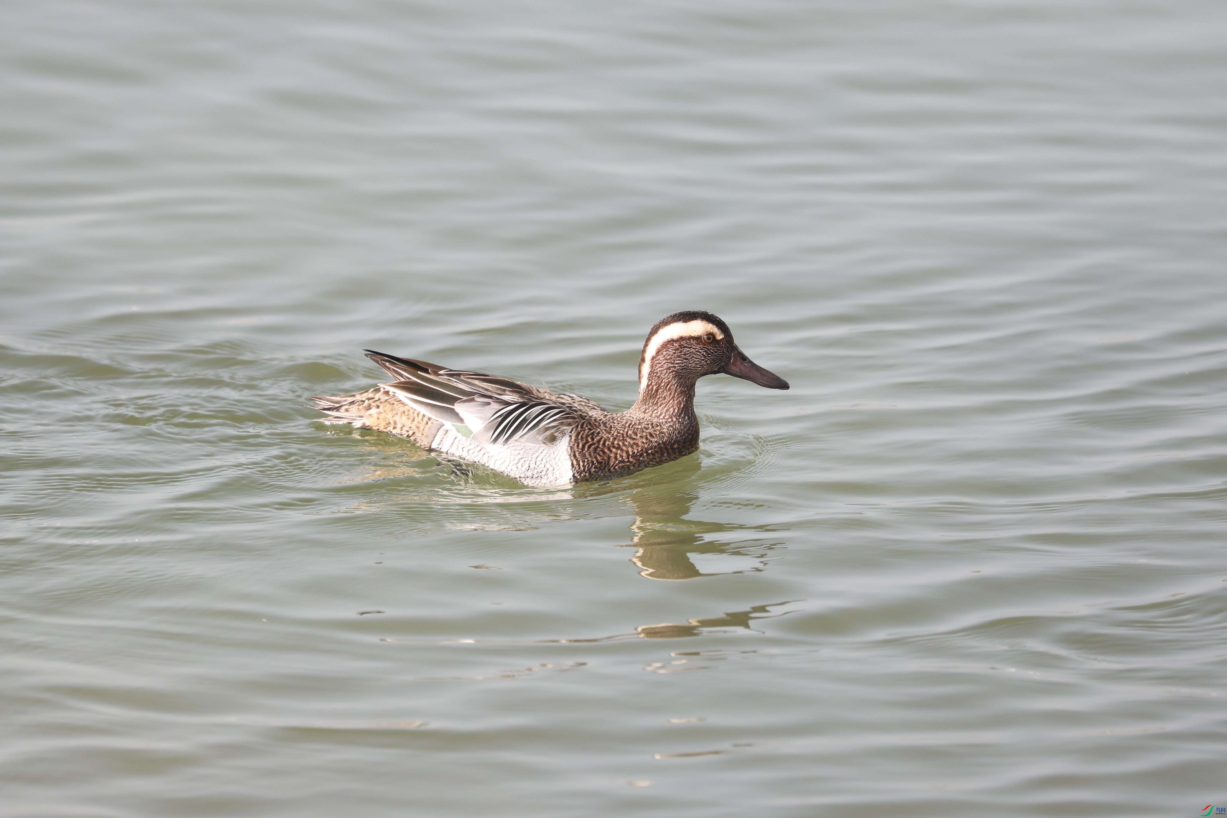 BL7A0423.JPG