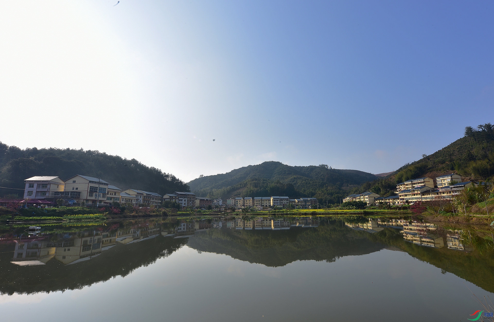 D8I_8102.jpg