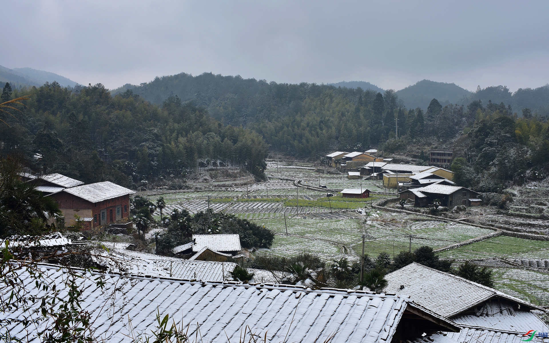 D8I_6784.jpg