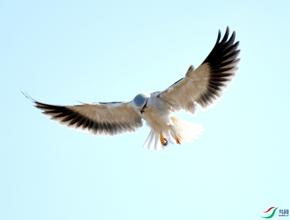 MYG_7880.JPG