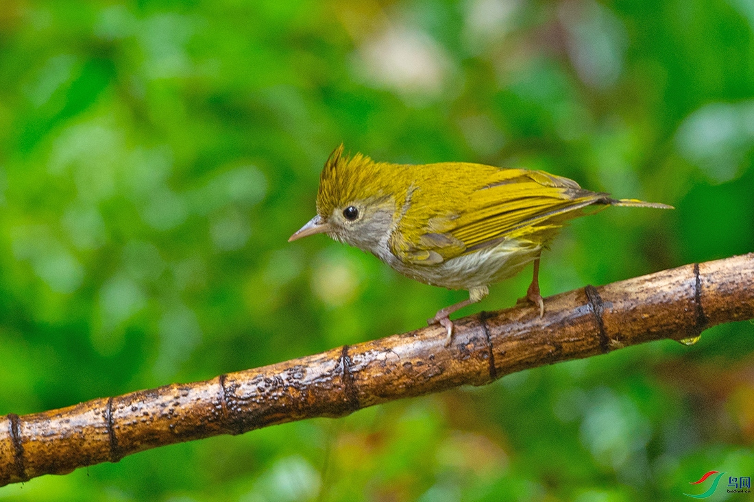 ��_DSC5160.jpg