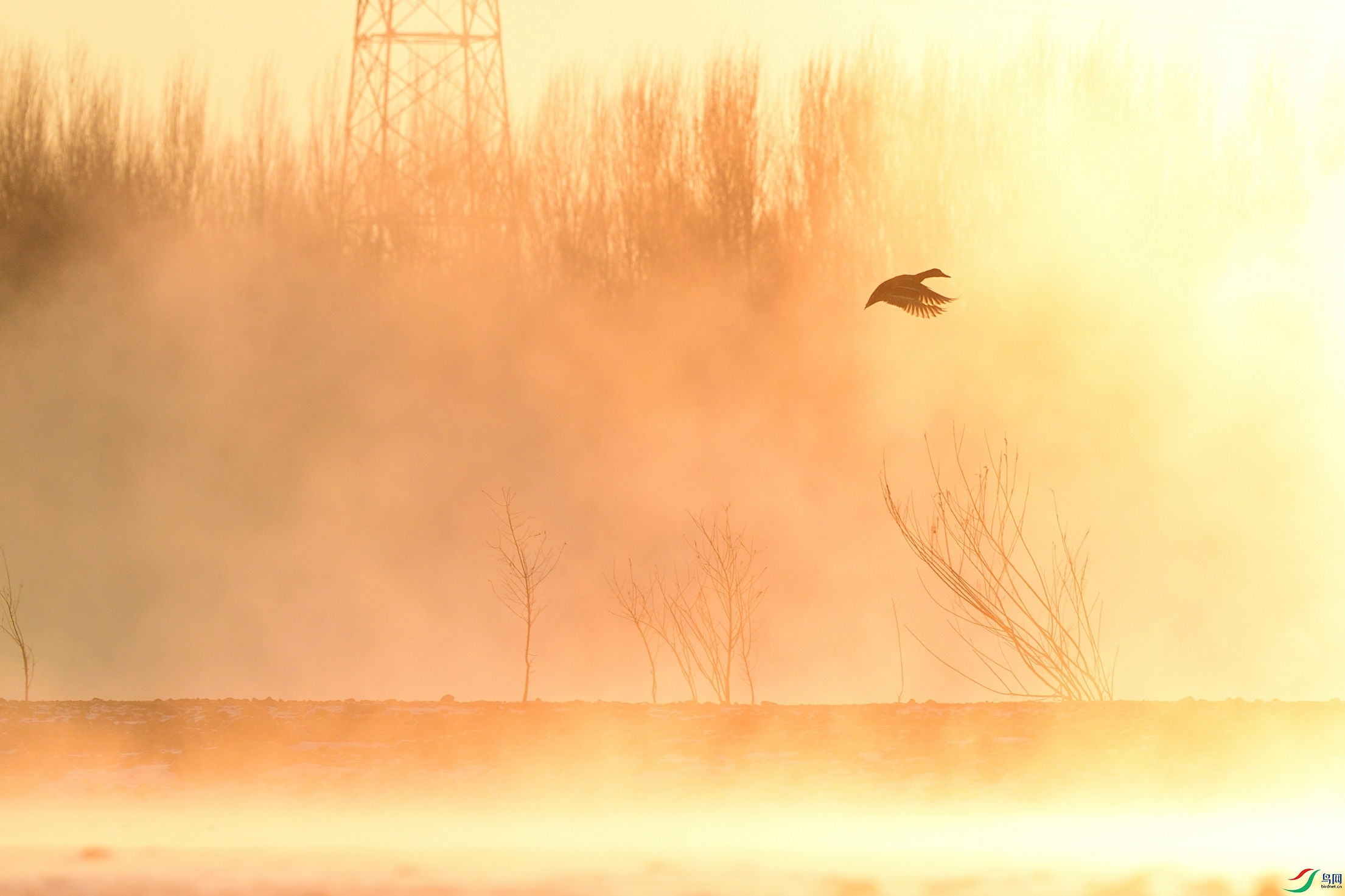 21N_4816_00001.jpg