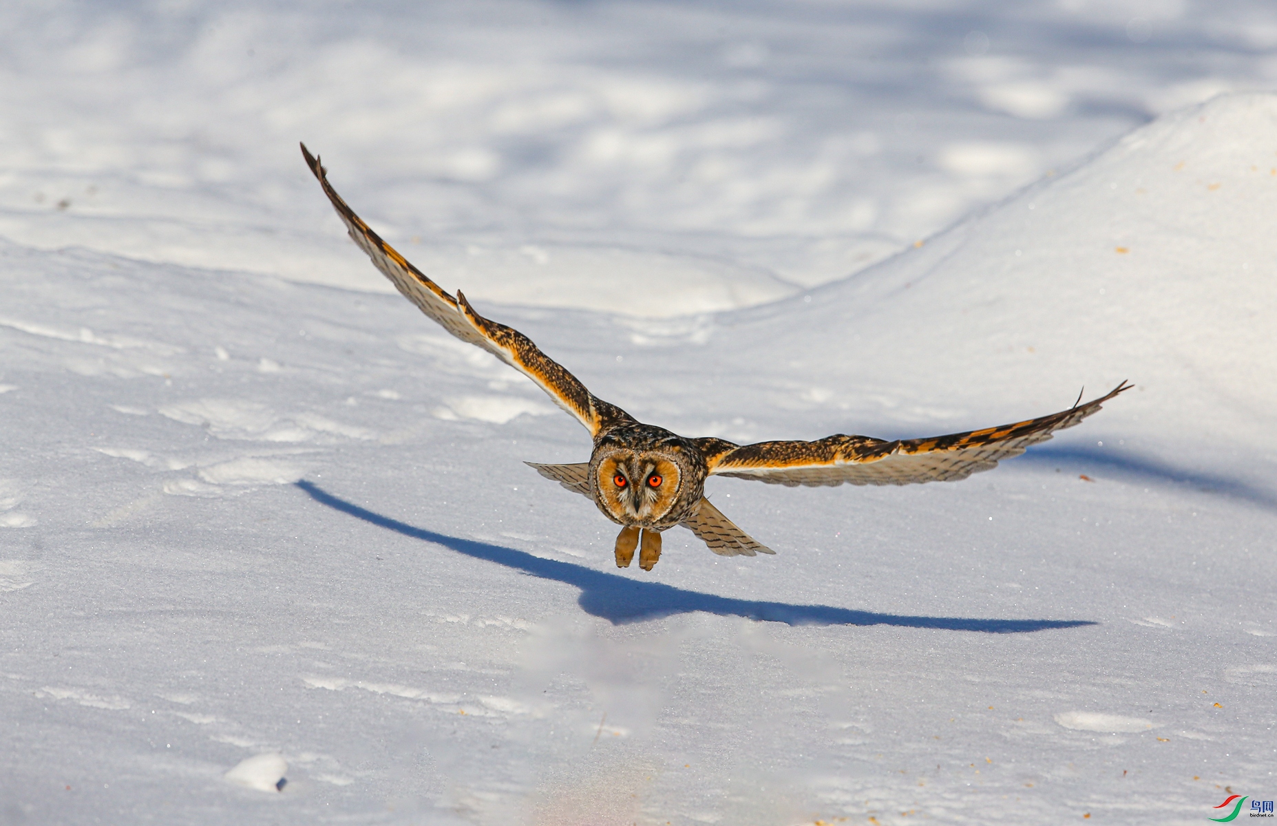 BE7W9218 - ����.JPG