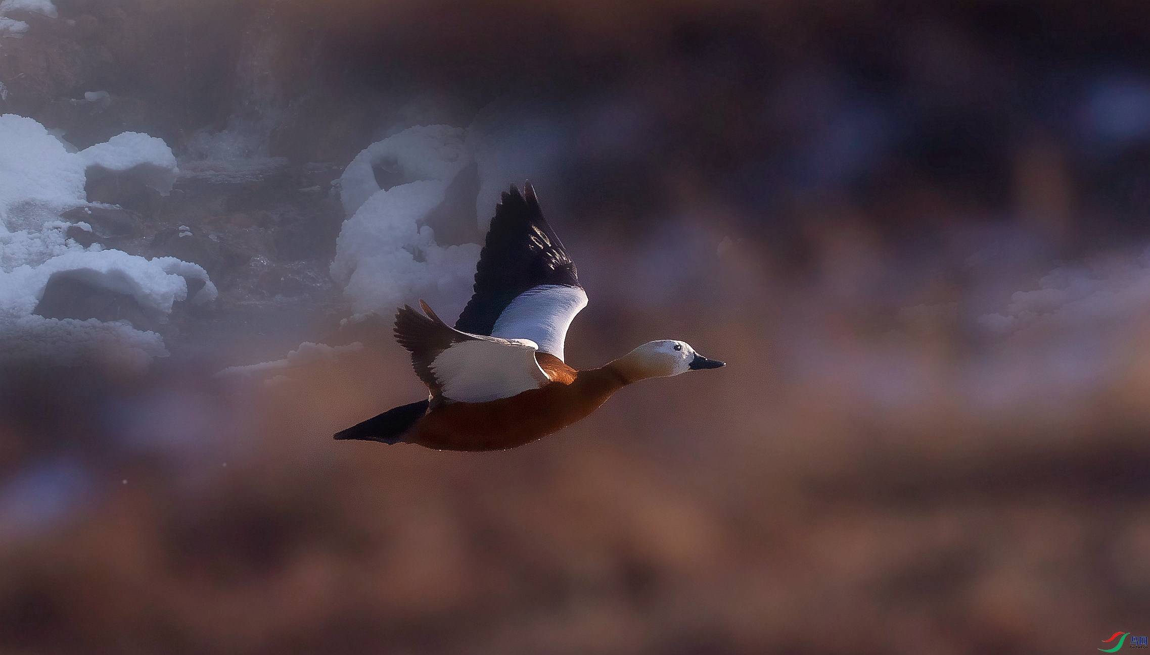 ��Ծ�ڶ����ĳ���Ѽ