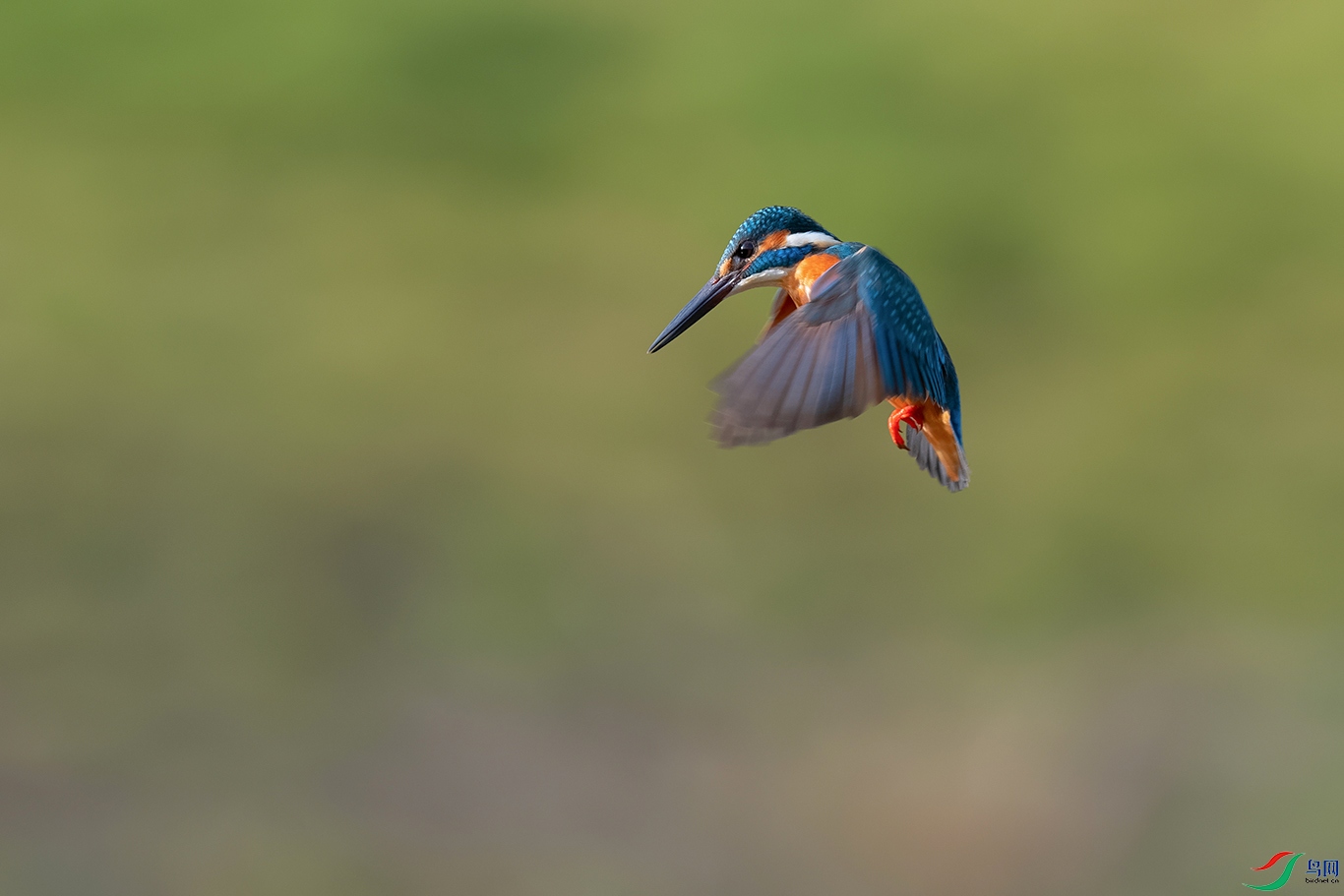 DSC_9148_DxOa.jpg