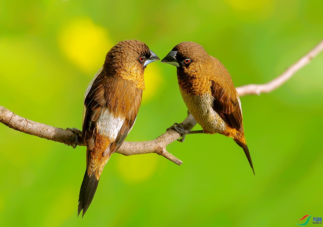 ��������  ��ʦ�����ں���ʡ��������ɽ��.jpg