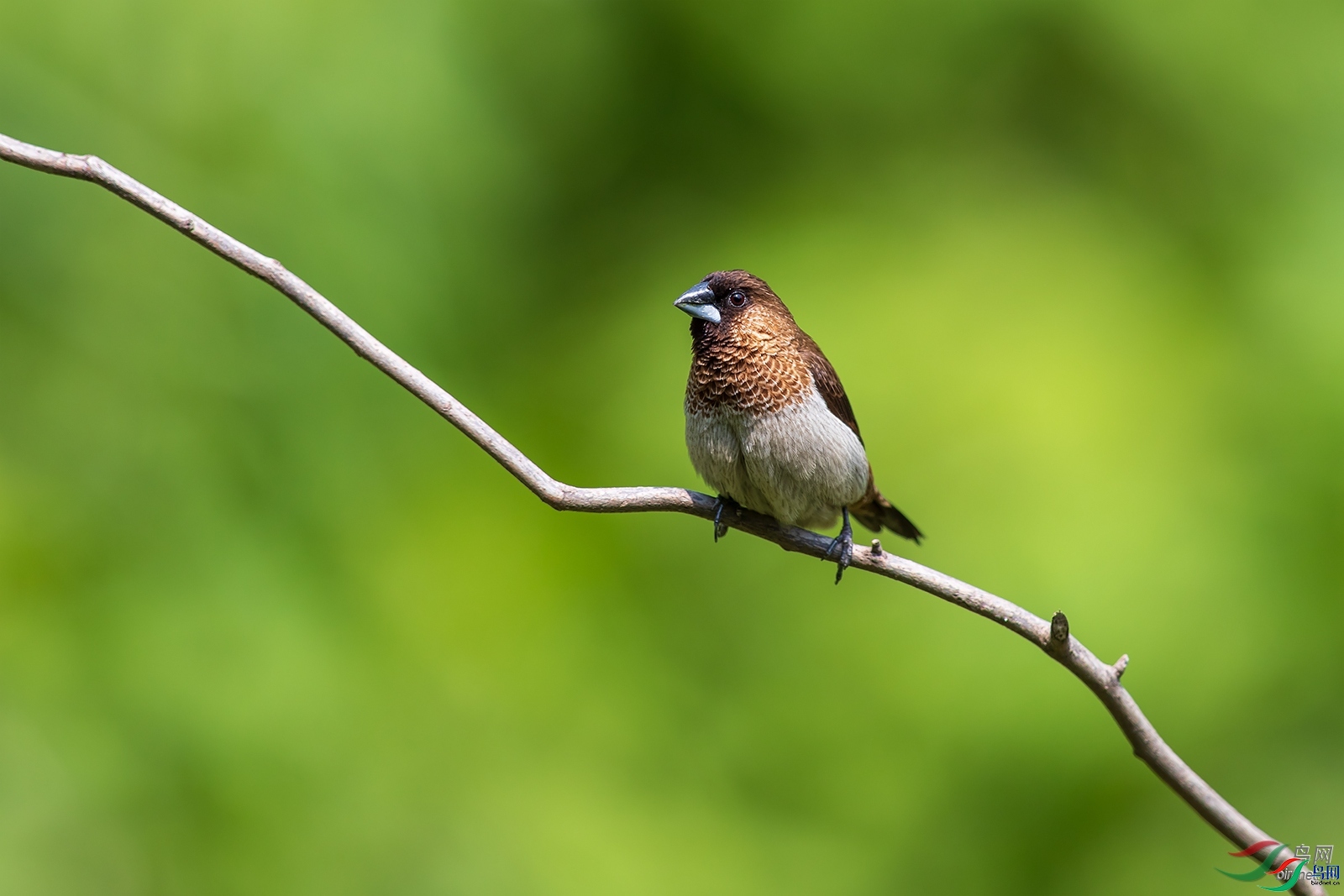 ����һ��  ��ʦ�����ں���ʡ��������ɽ��1.jpg