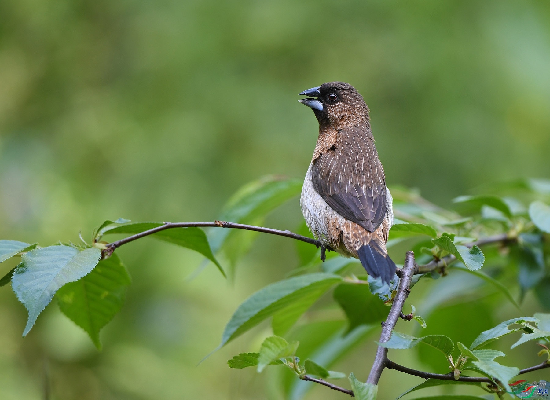 ��������  ��ʦ�����ں���ʡ��������ɽ��.jpg