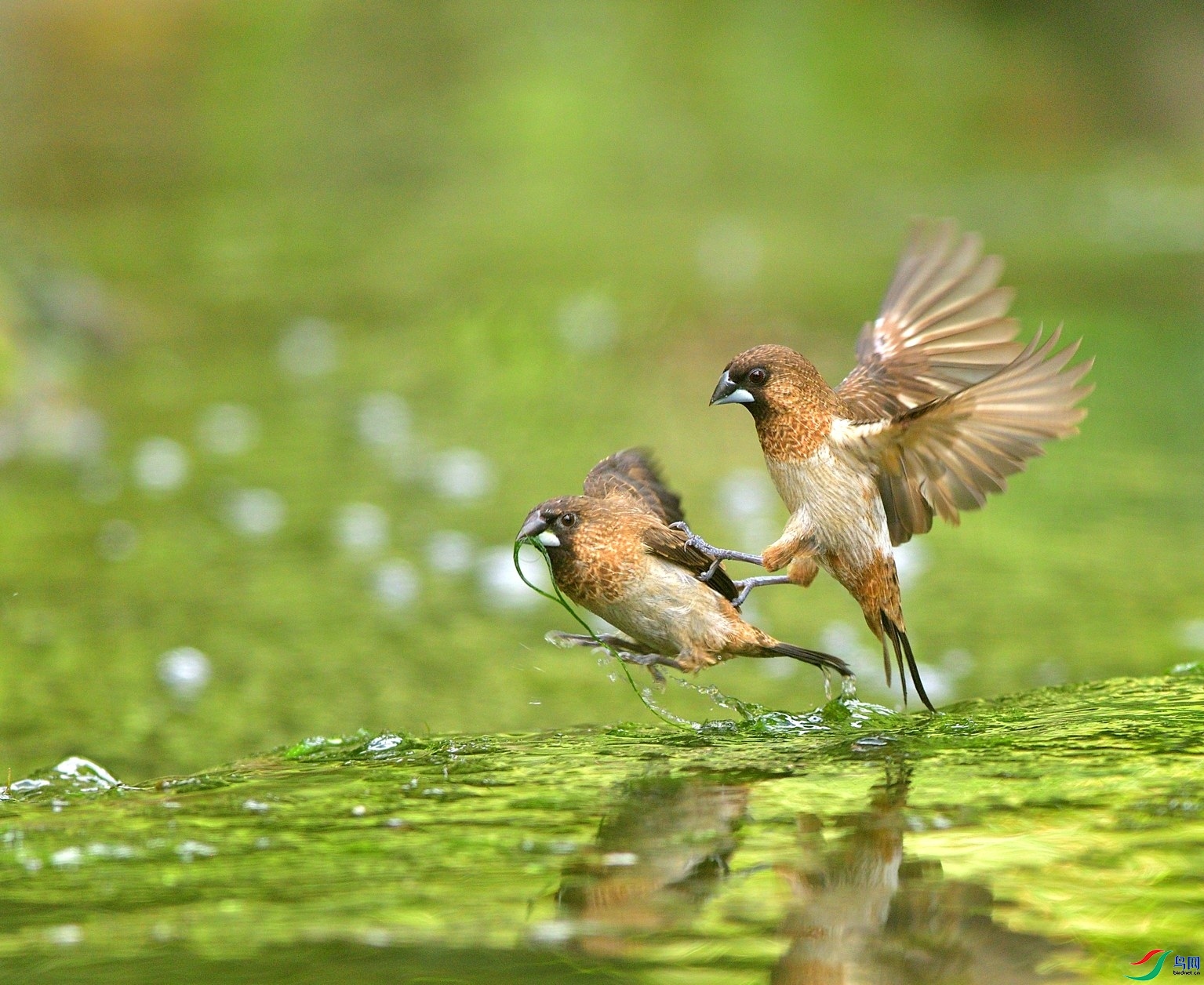 �����ɹ�  ��ʦ�������Ϻ��������.jpg