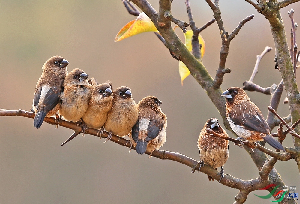 �ඡ����  ��ʦ�����ڽ���ʡ��������Դ��.jpg