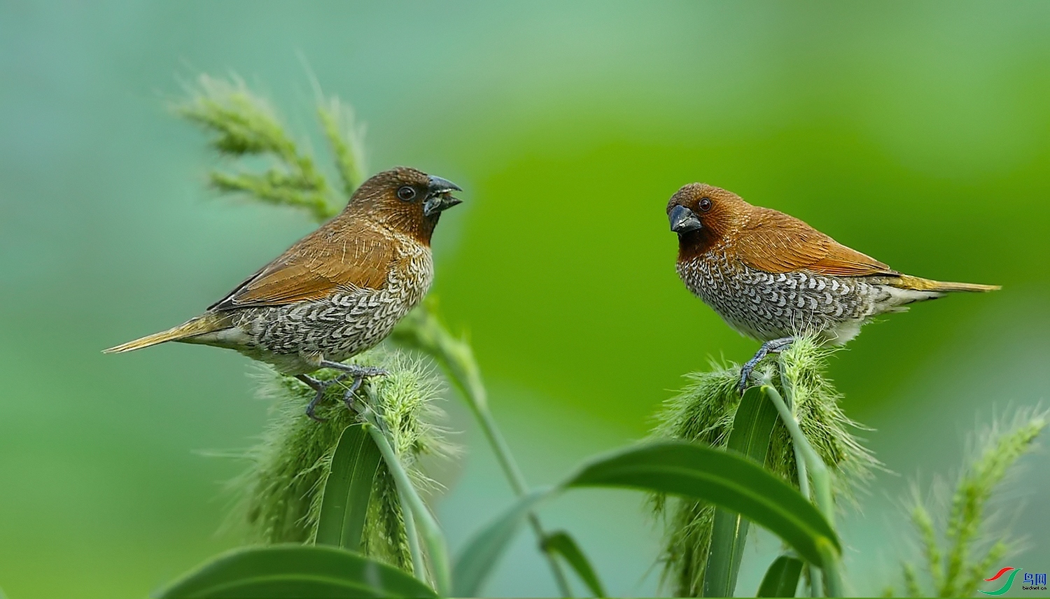 ��������  ��ʦ�����ں���ʡ��̶����̶��.jpg