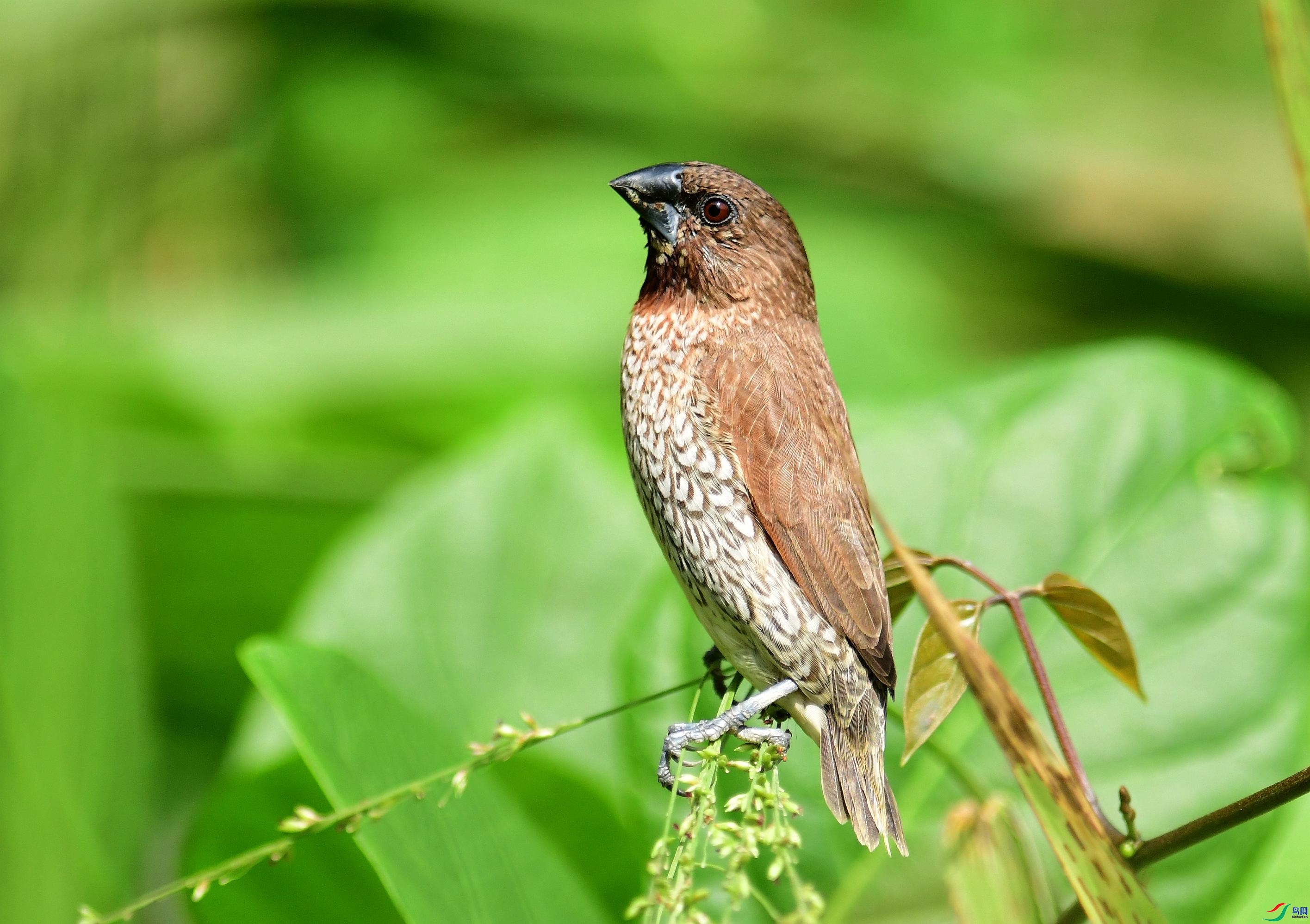 �ϵ�  ��ʦ����.jpg