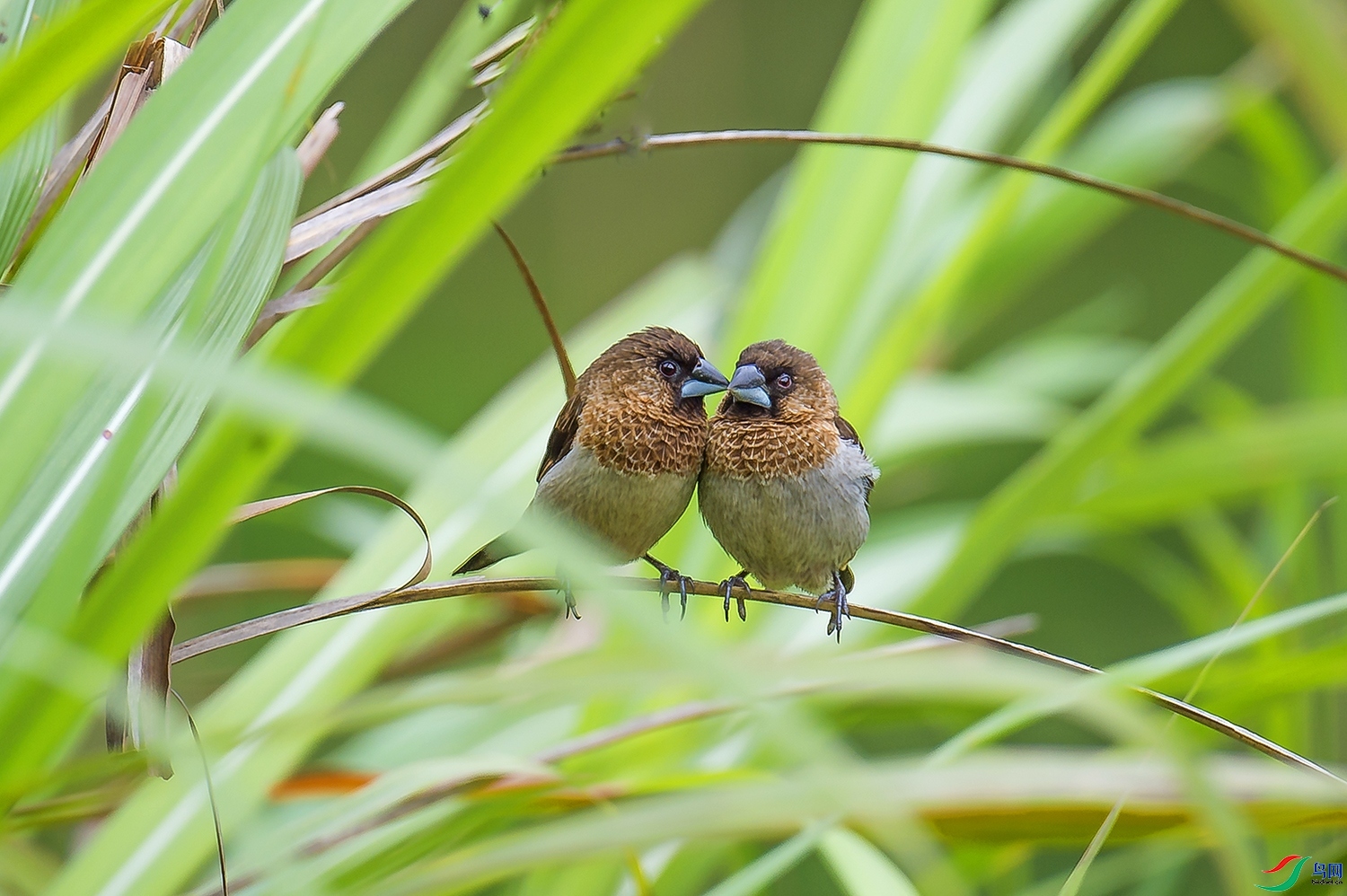 ��ɽ����  ��ʦ�����ڸ���ʡ��������Դ��.jpg