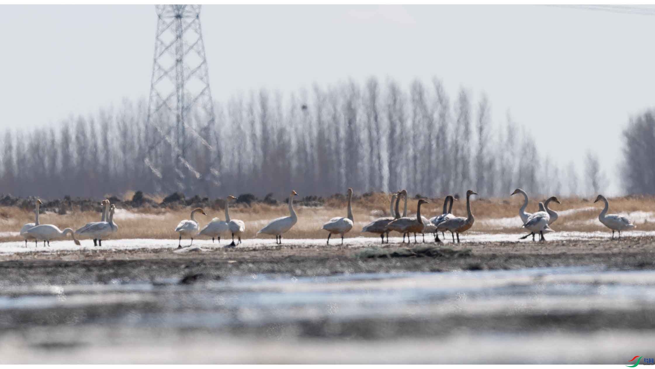DSC_2593-3.jpg