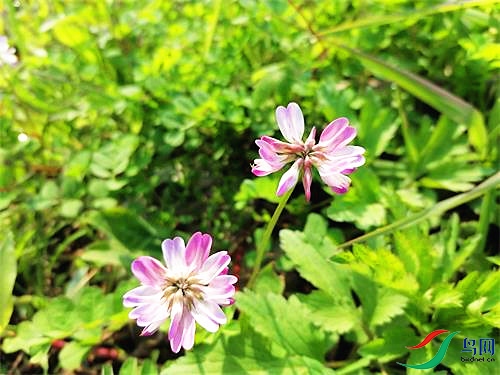 ΢��ͼƬ_20220227113816 - ����.jpg