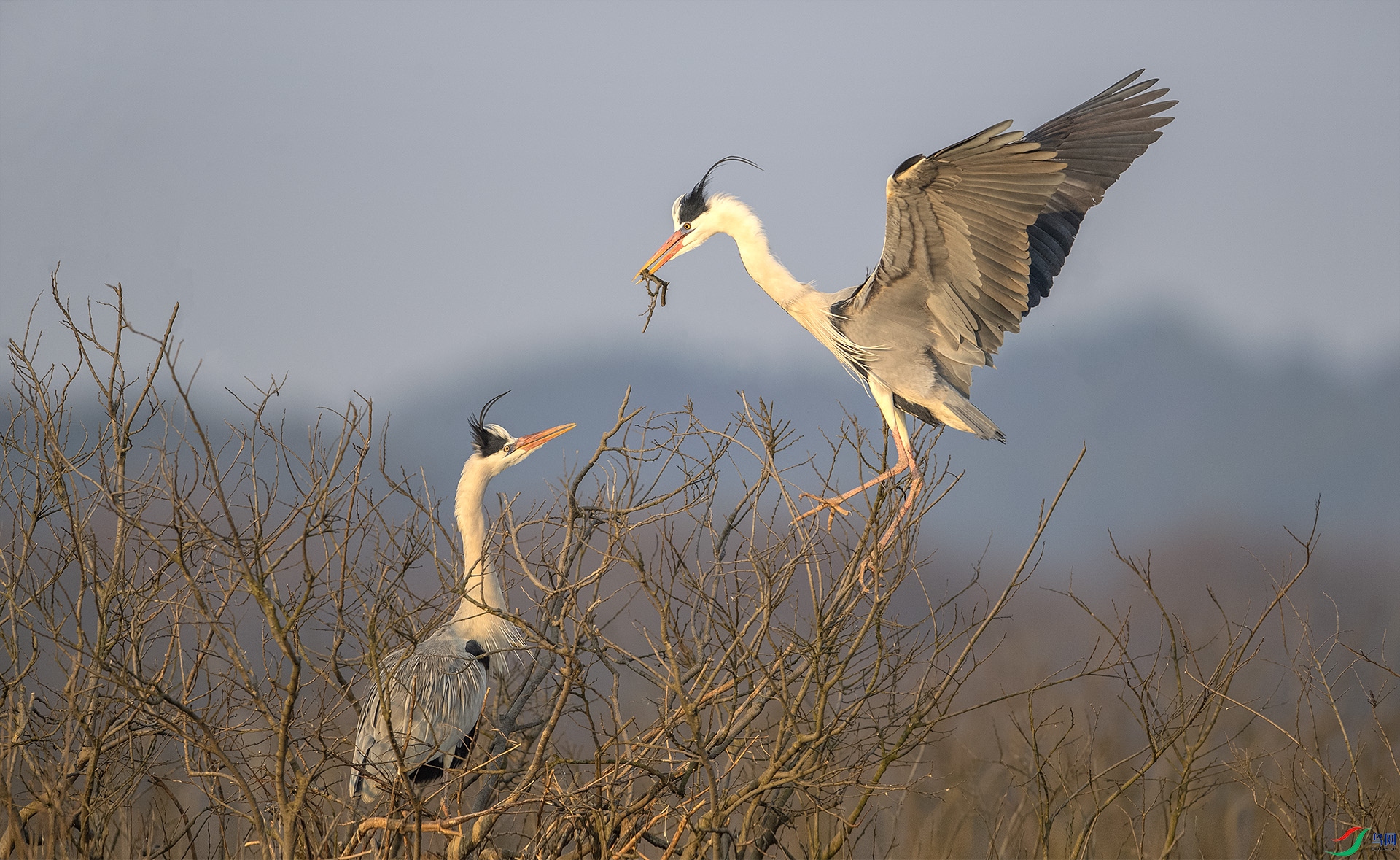 DSC_7176.jpg