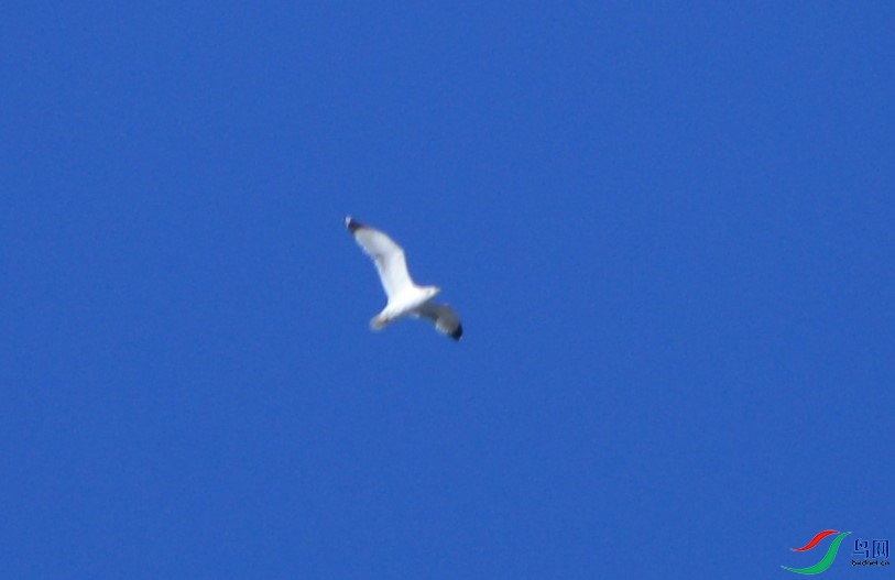 DSC_2805.jpg