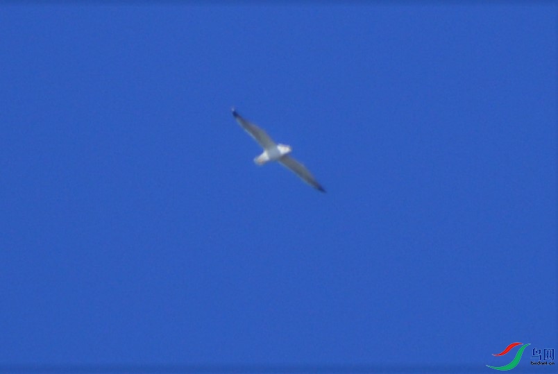 DSC_2802.jpg