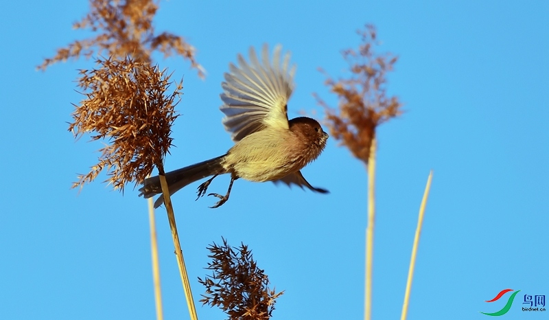 ��ͷ��ȸ3    3528.jpg