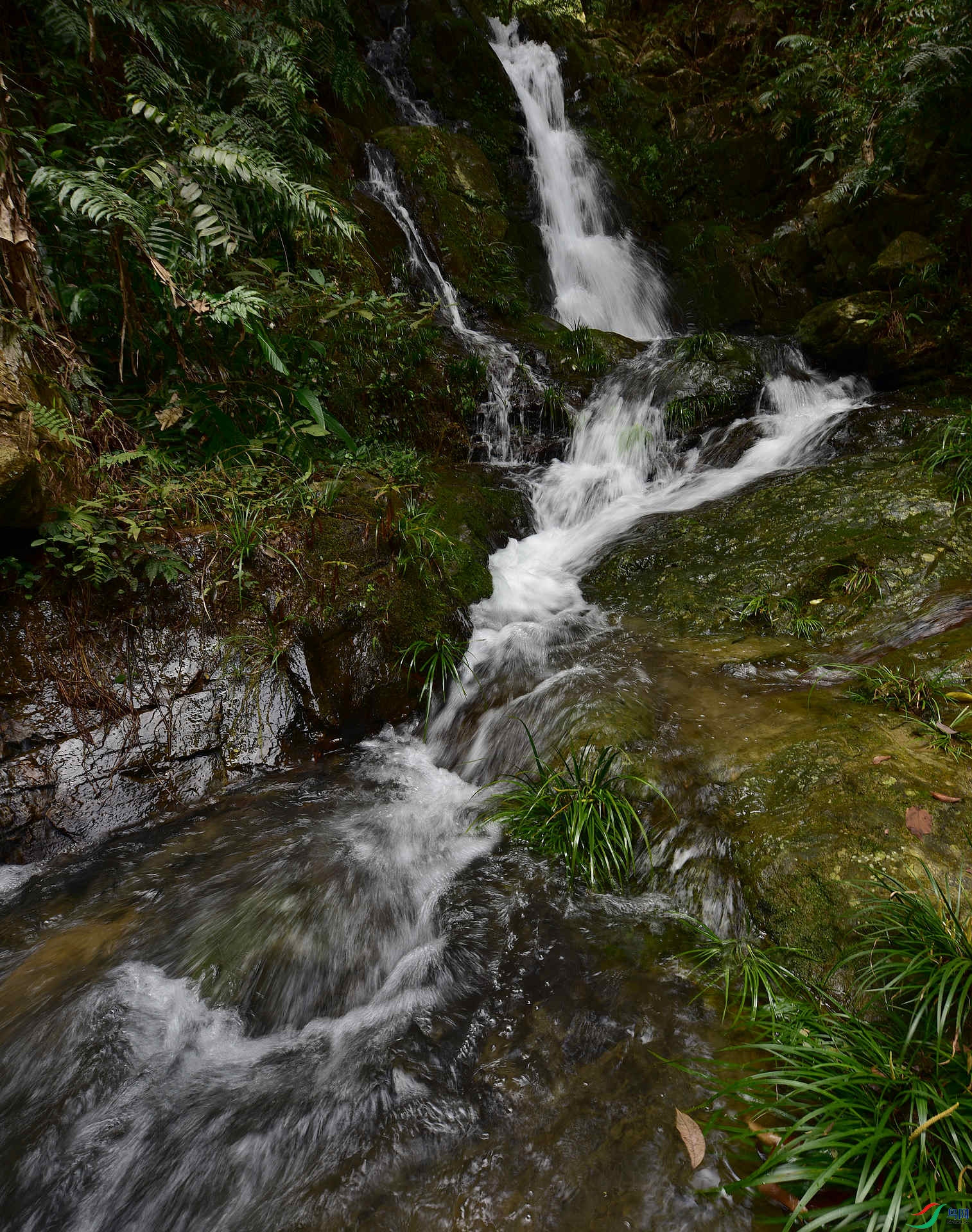 D8I_8031.jpg
