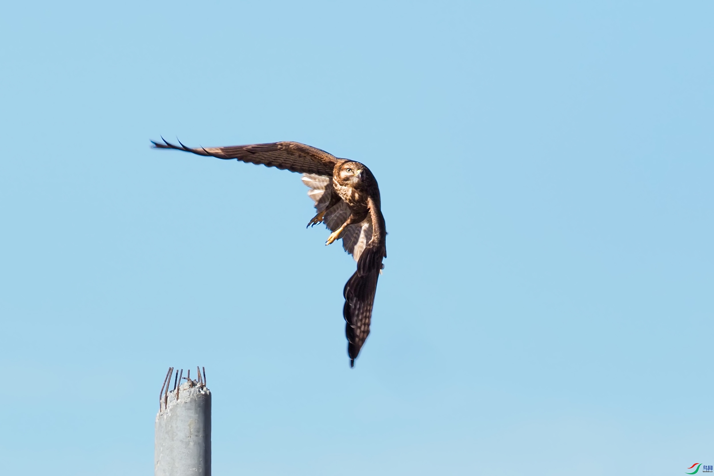 P1092127-1.jpg