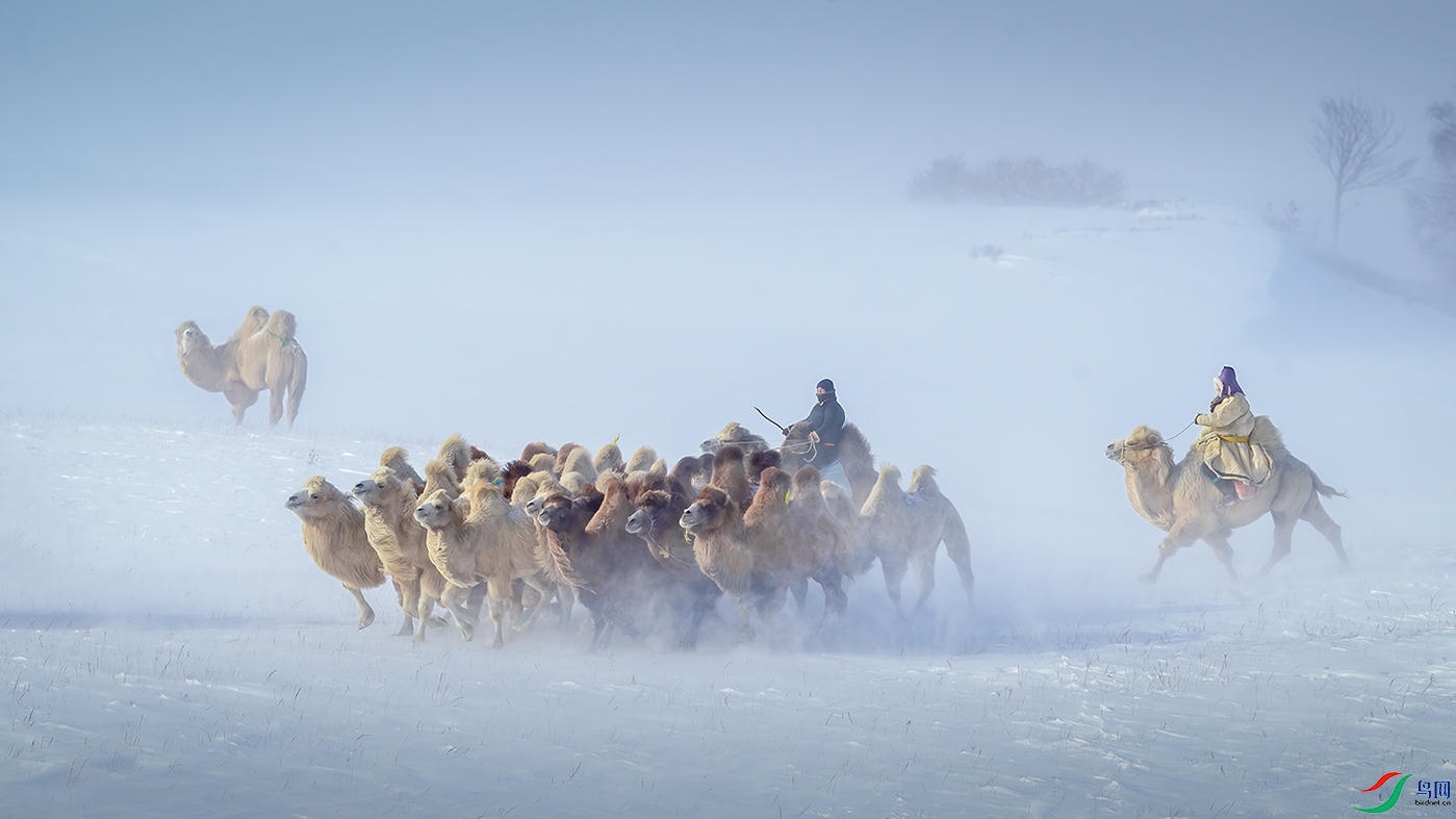 ���������ɹ�������ͳ��