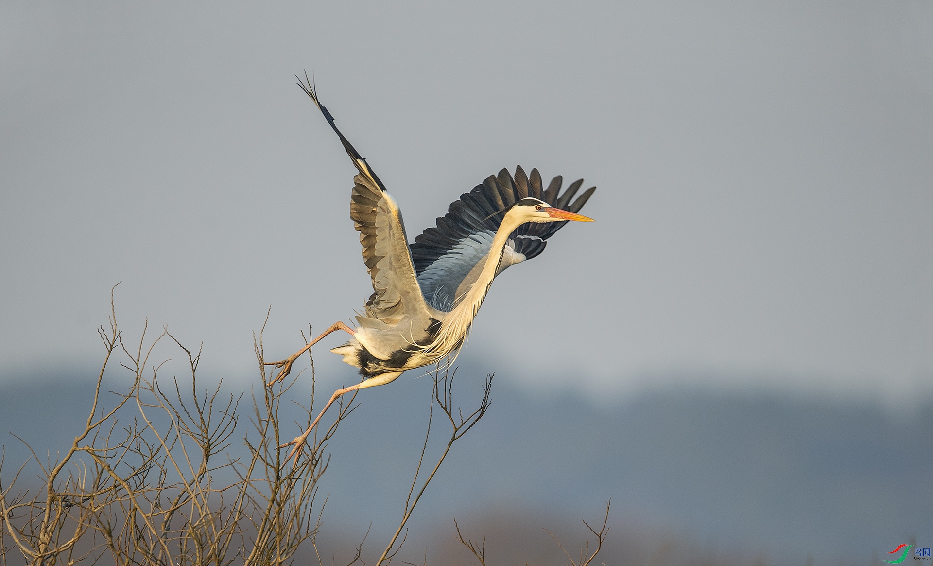 DSC_7366a.jpg