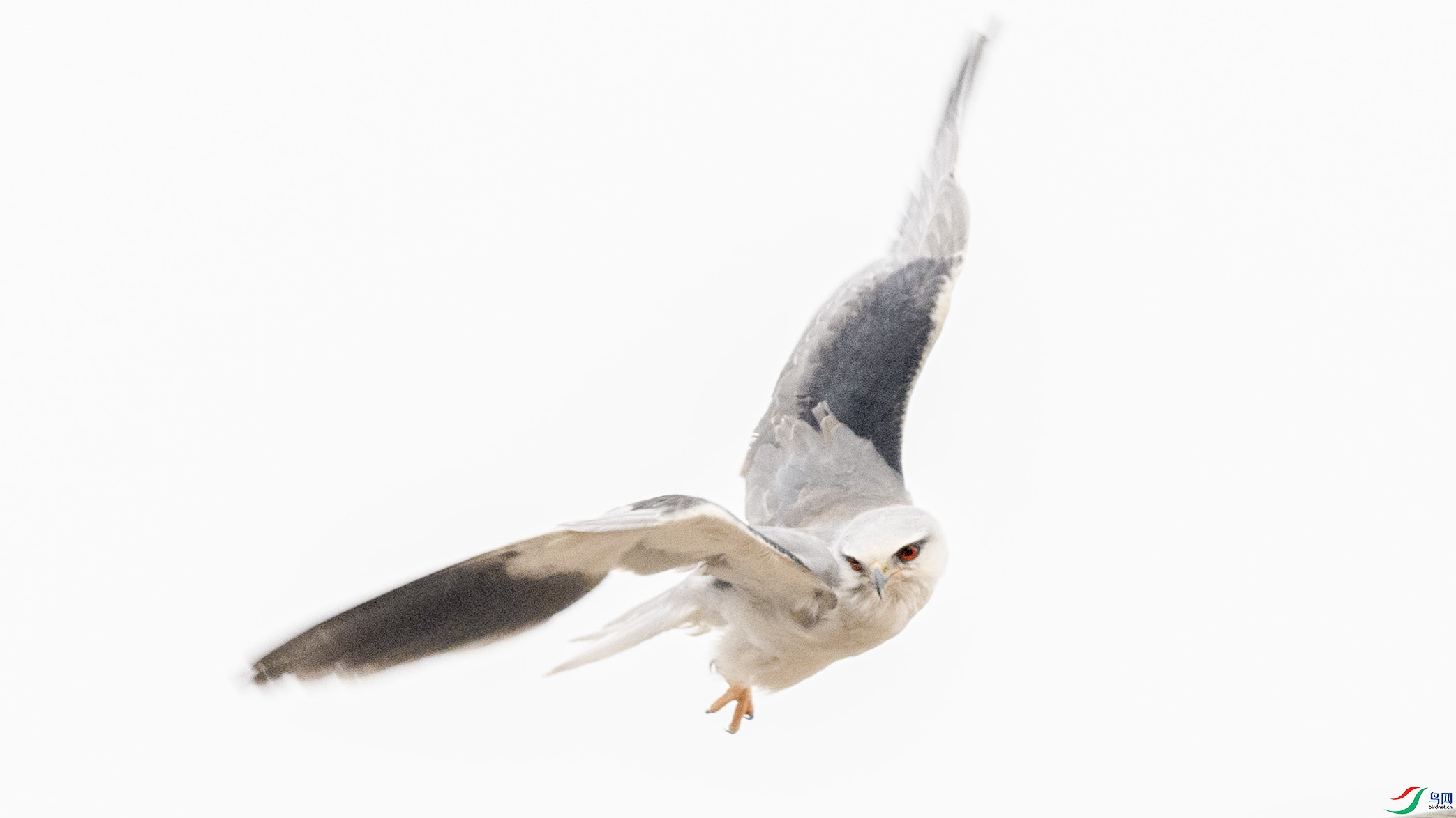 _6662993 ����.jpg