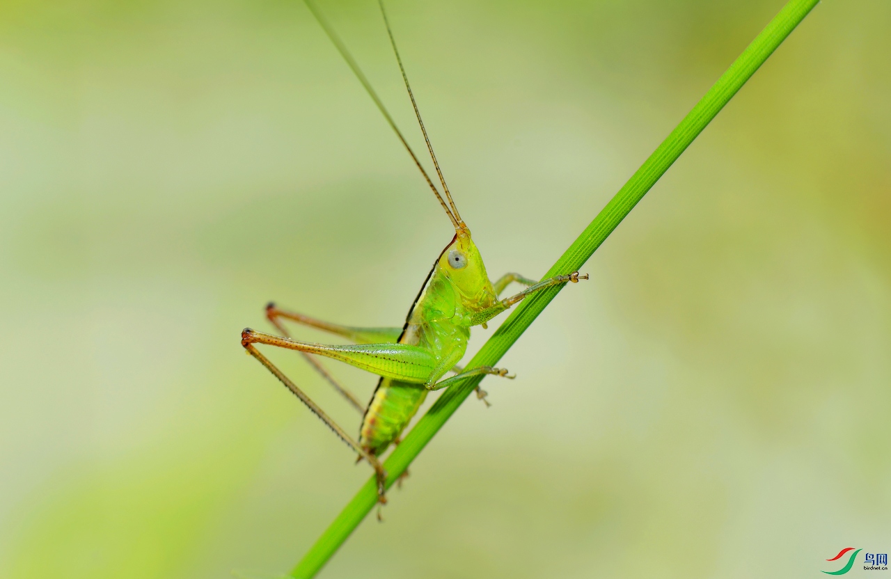 DSC_5950.JPG