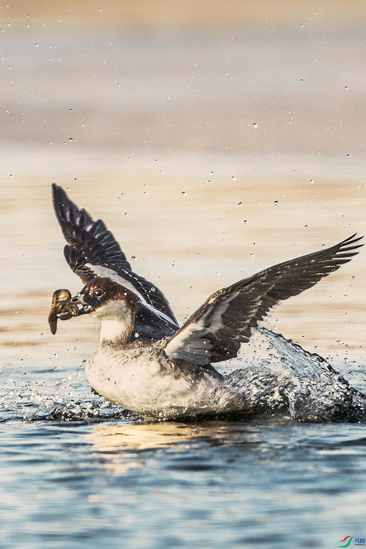 3S0A6120 ����.jpg