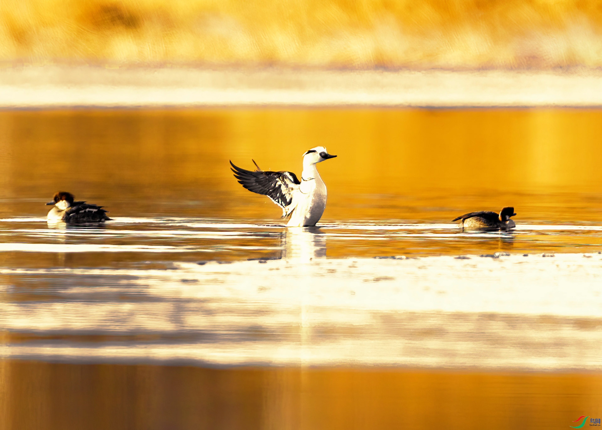 3S0A9360 ����.jpg