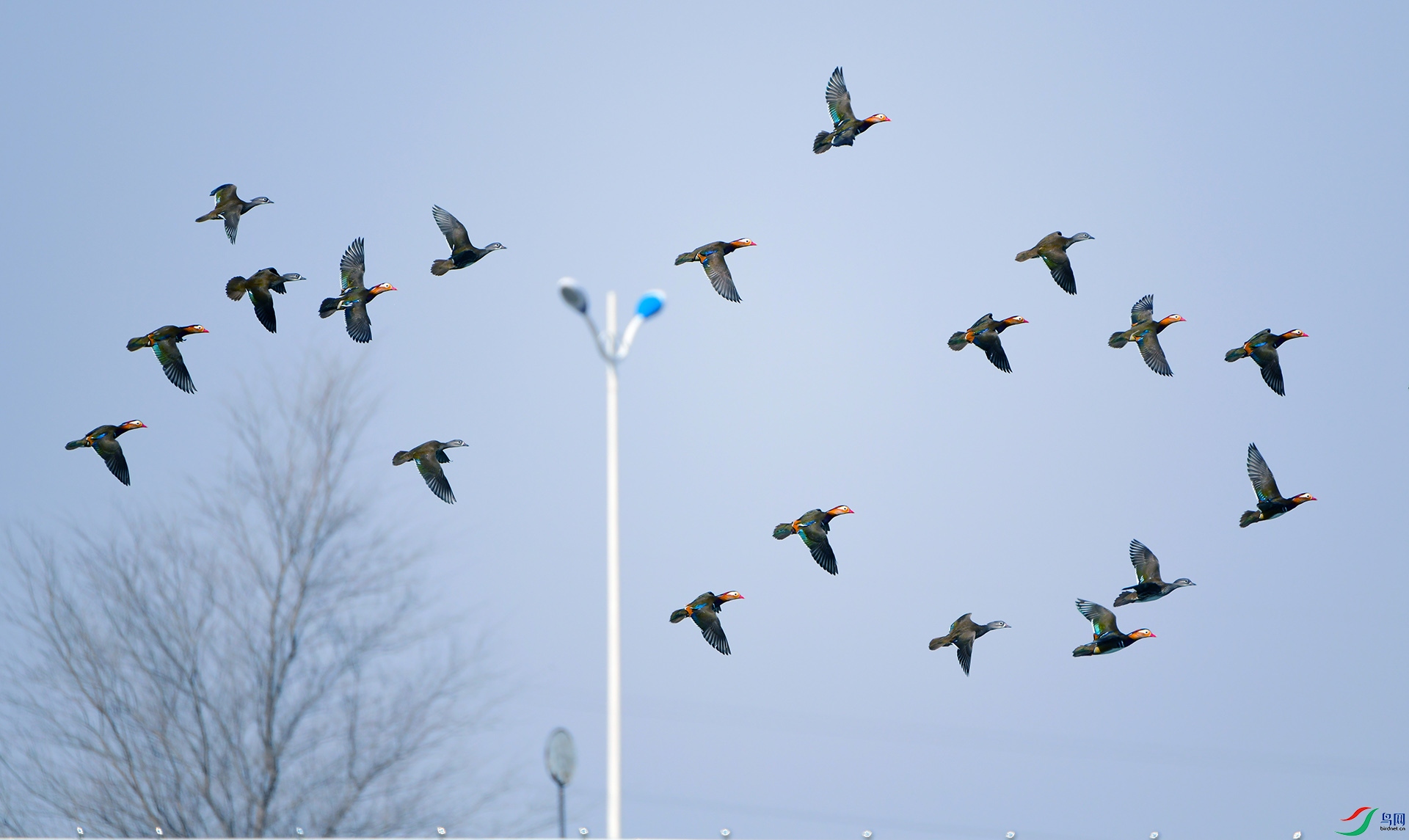 ԧ��ɹ�·����