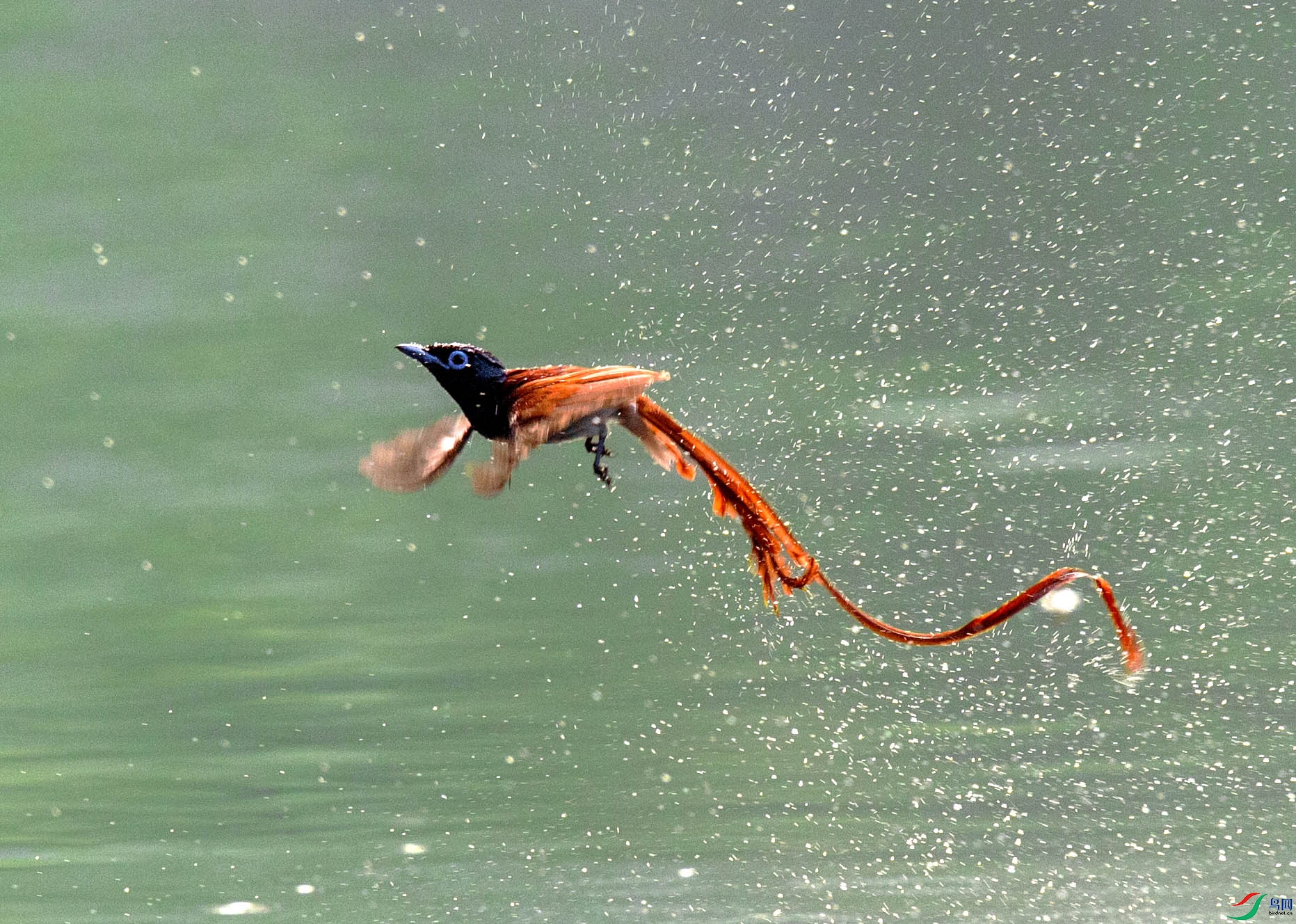 XSX_9796 ����.jpg