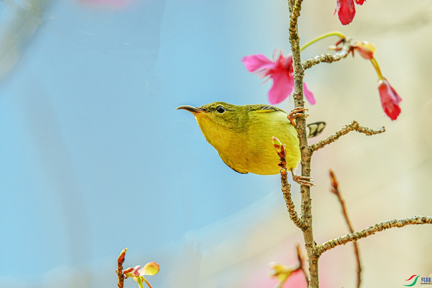 DSC_3593.jpg