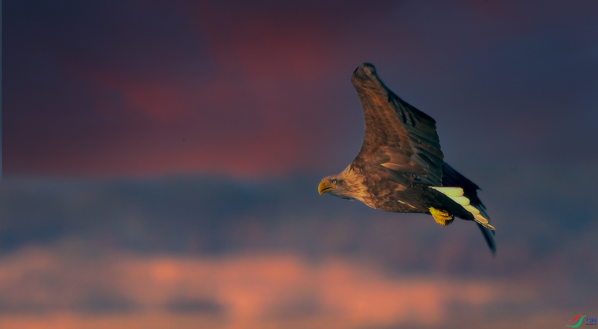 ��ϼ����