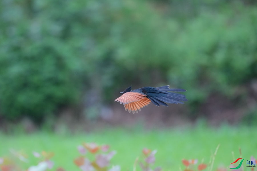 DSC08410_cr-24.jpg