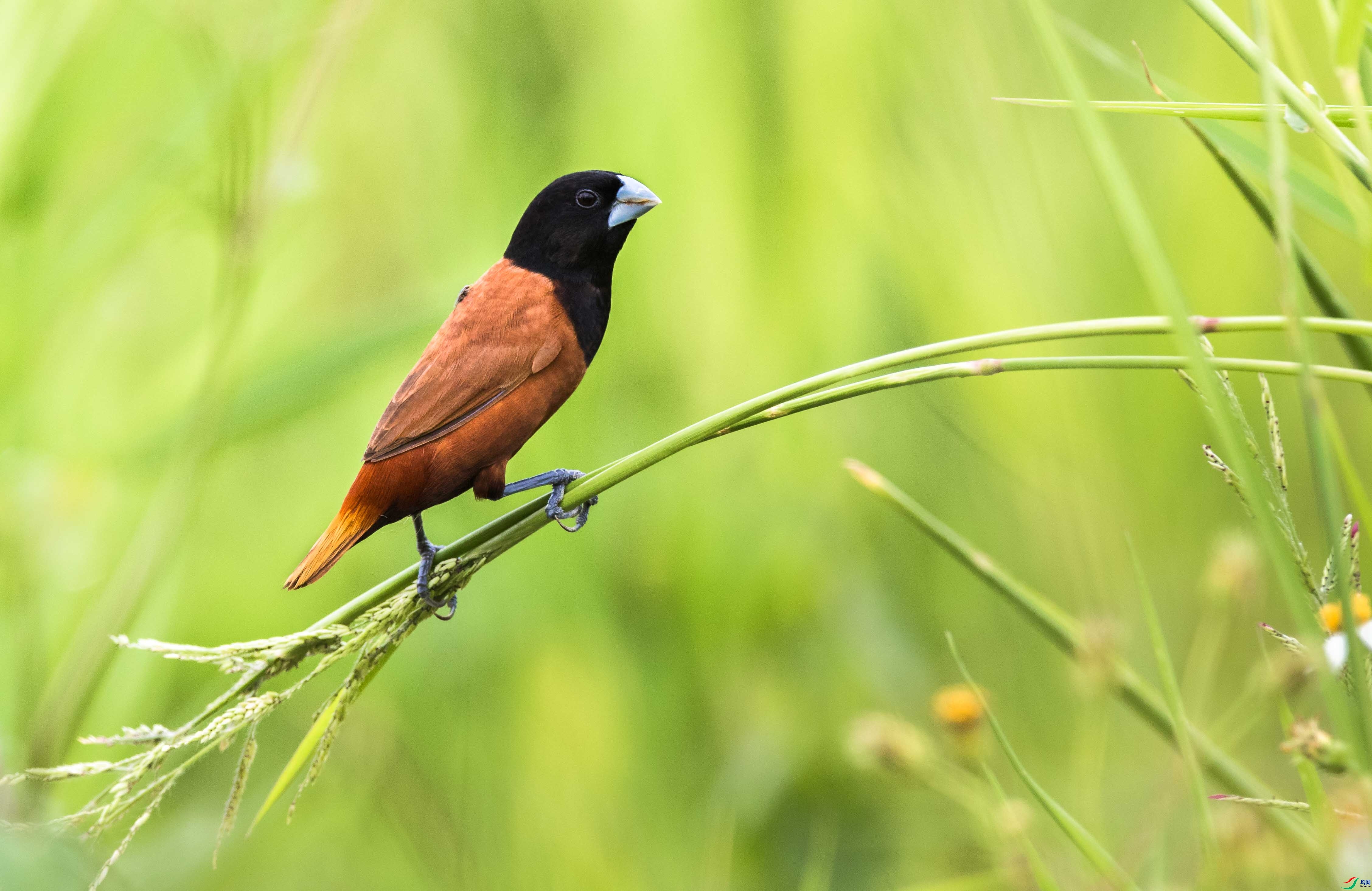 ��¥�ϲ�  ��ʦ�����ڹ㶫ʡ������.png