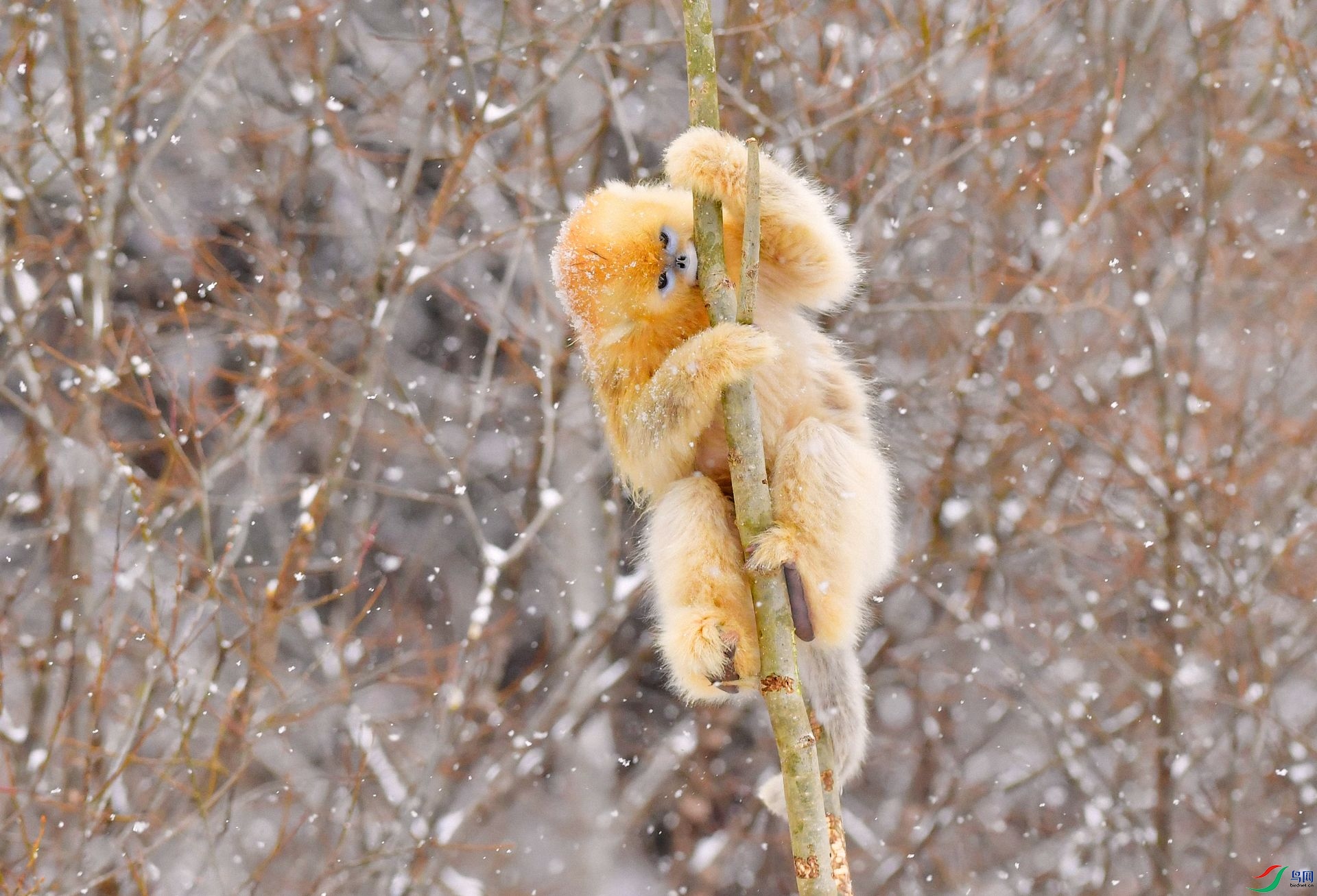 DSC_2738 (2)-Exposure.jpg