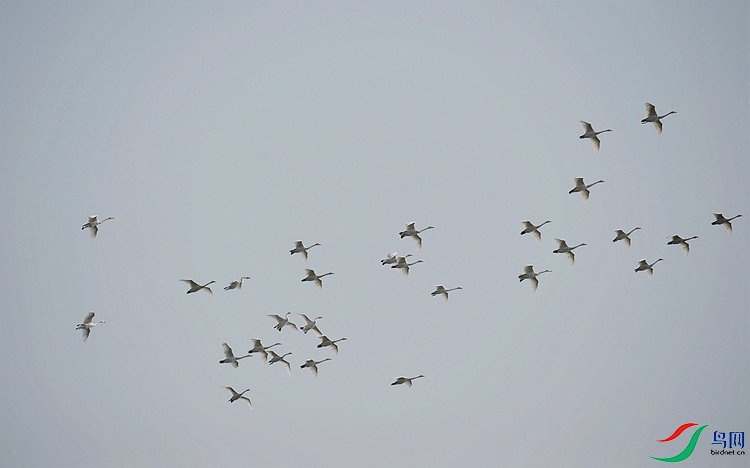 DSC_4041_����.jpg