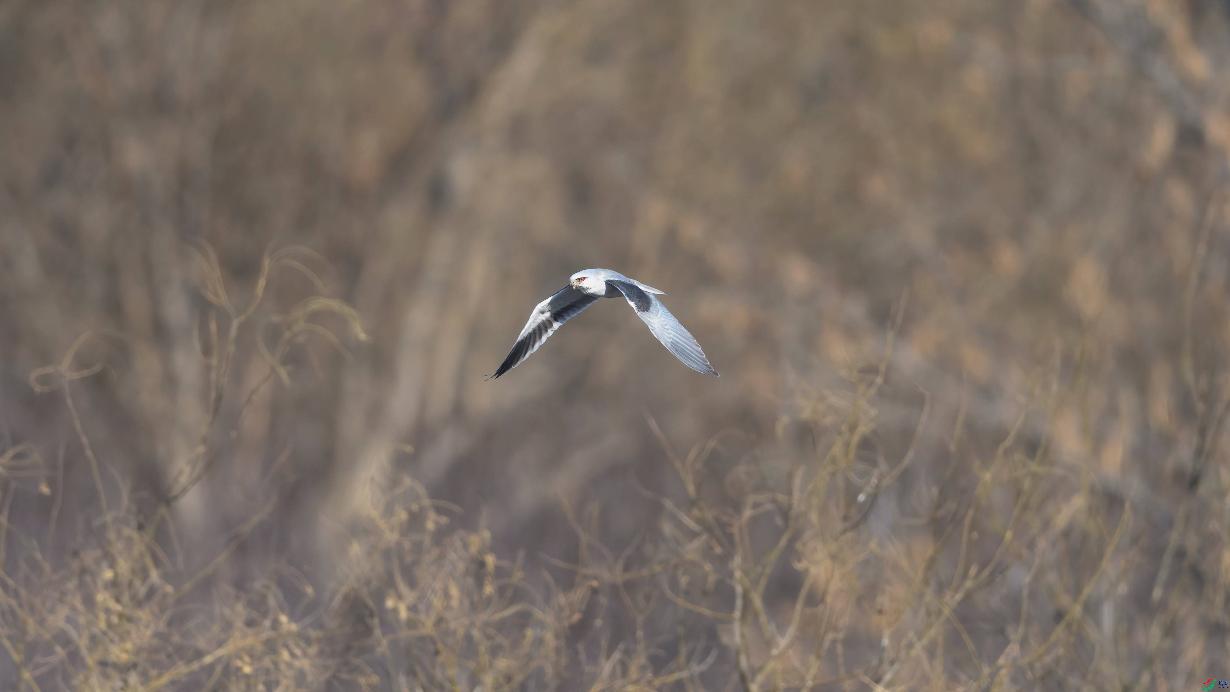 _6661443 ����.jpg