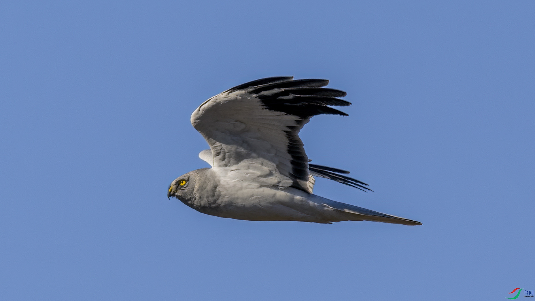 _6661627 ����.jpg