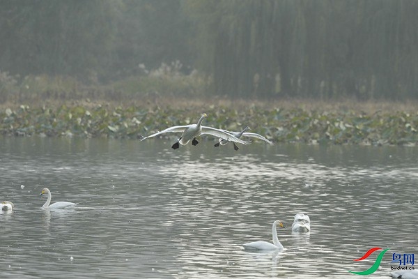 _E8J1786.jpg