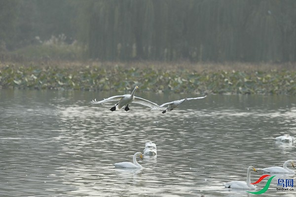 _E8J1791.jpg