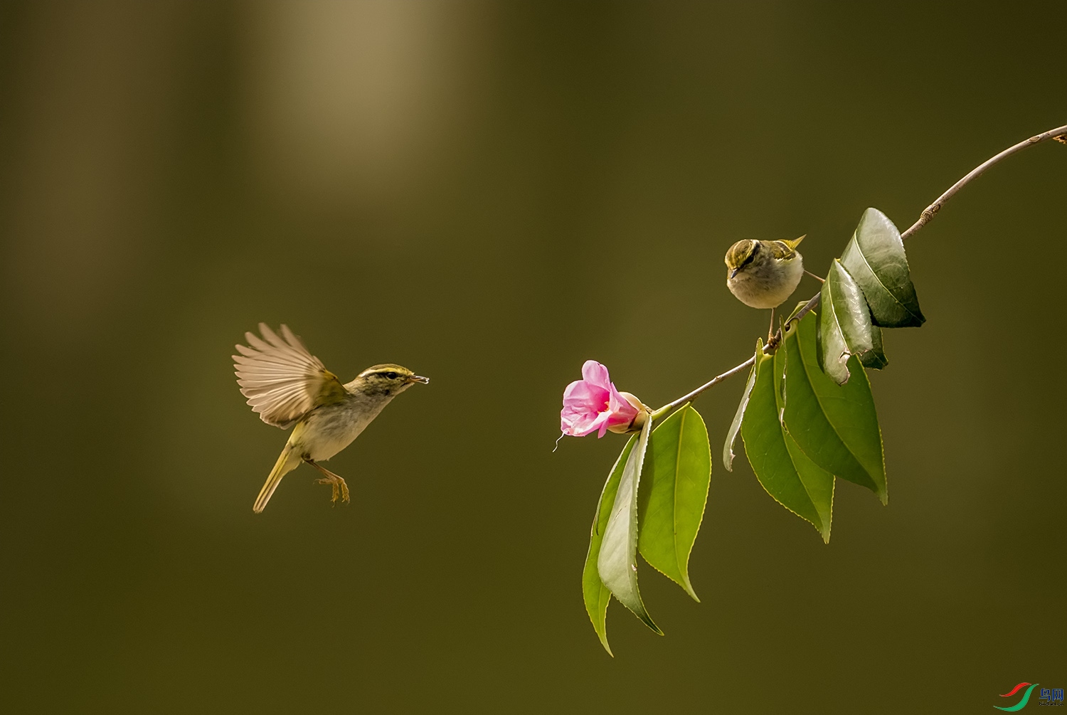 DSC_9643-�ָ���.jpg