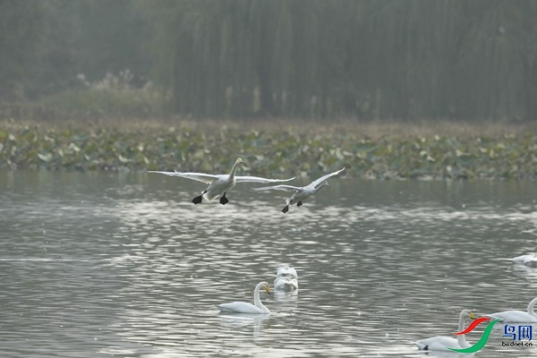 _E8J1790.jpg