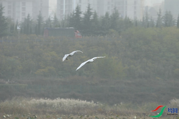 _E8J1782.jpg