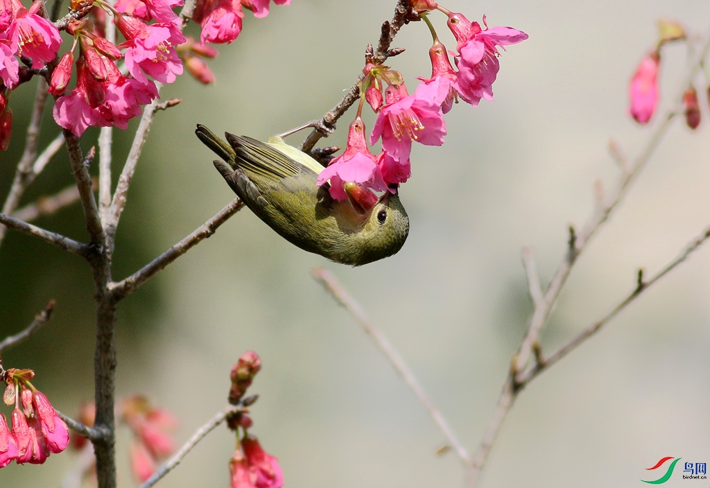 367A3235_����.jpg